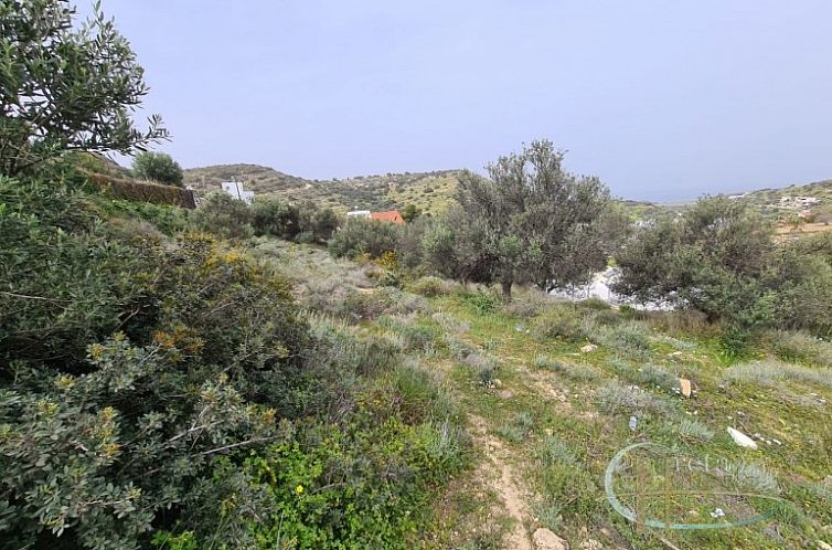 Kavel in Pitsidia