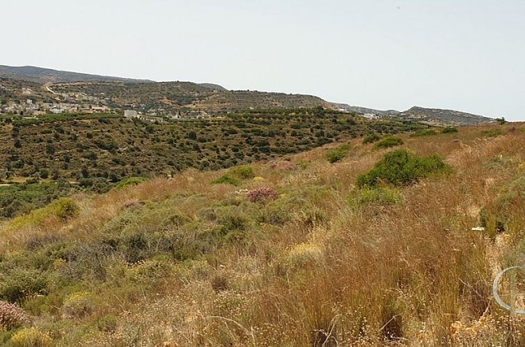 Kavel in Pitsidia