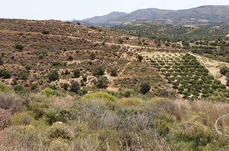 Kavel in Pitsidia