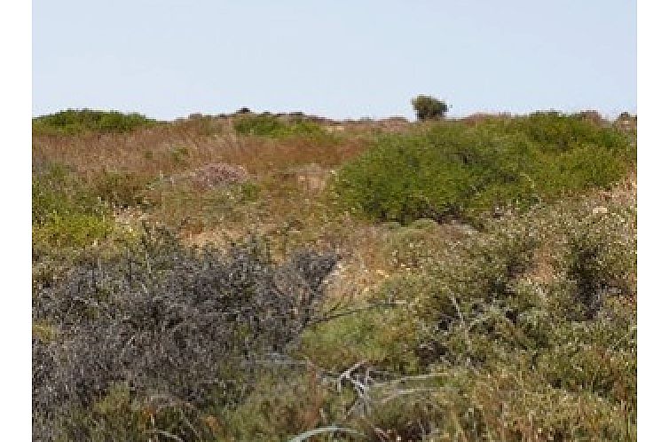 Kavel in Pitsidia