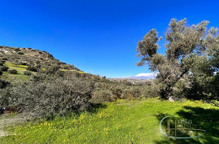 Unterkunft 06223215 - Ferienhaus Kreta - Kavel in Pitsidia