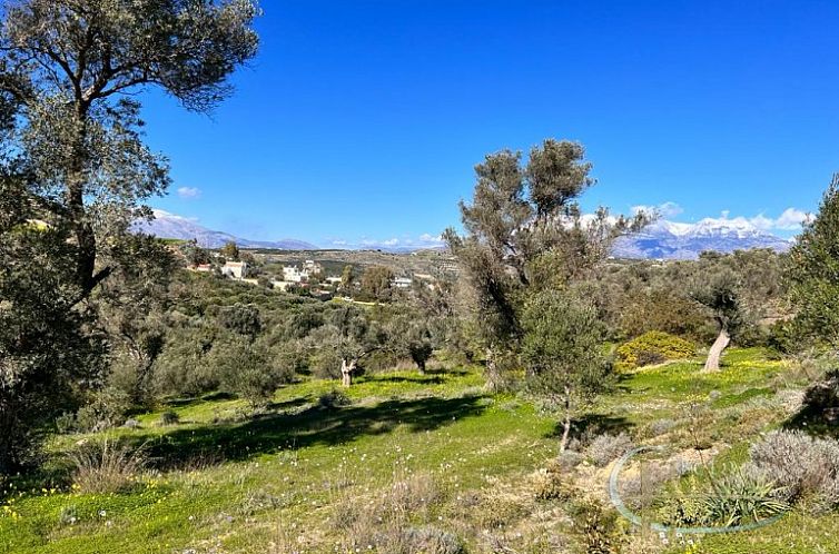 Kavel in Pitsidia