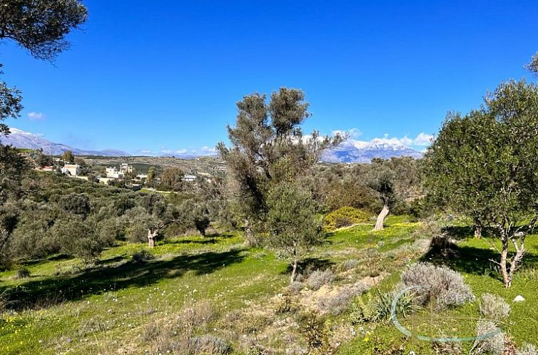 Kavel in Pitsidia