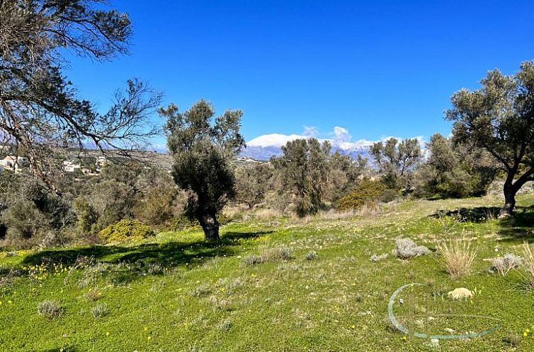 Kavel in Pitsidia