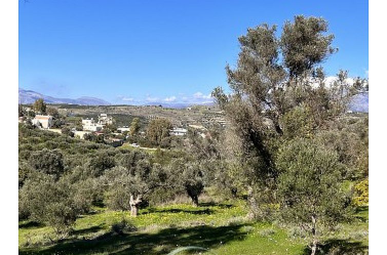 Kavel in Pitsidia