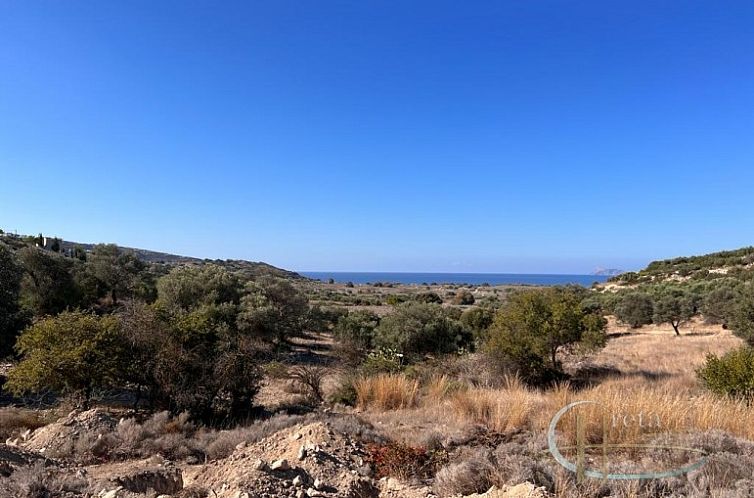 Kavel in Pitsidia