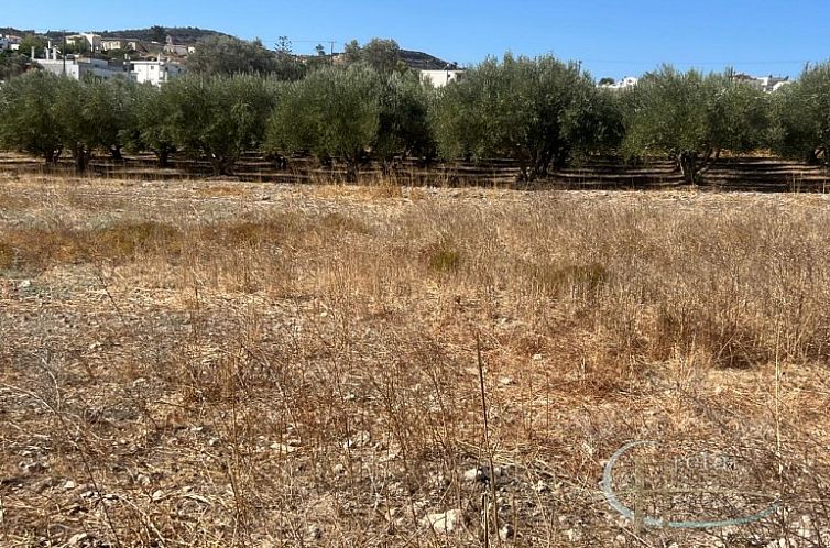 Kavel in Pitsidia