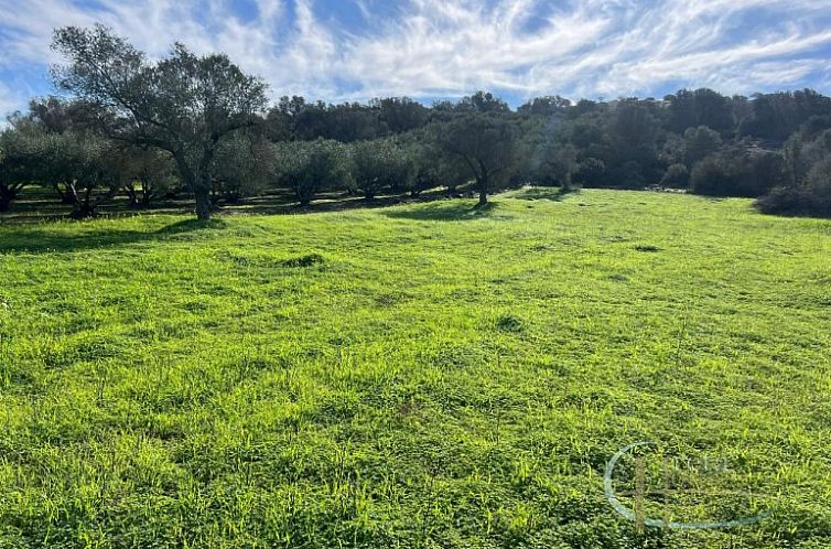 Unterkunft 06223227 - Ferienhaus Kreta - Kavel in Pitsidia