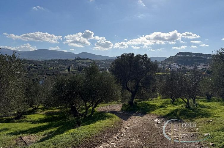 Kavel in Pitsidia
