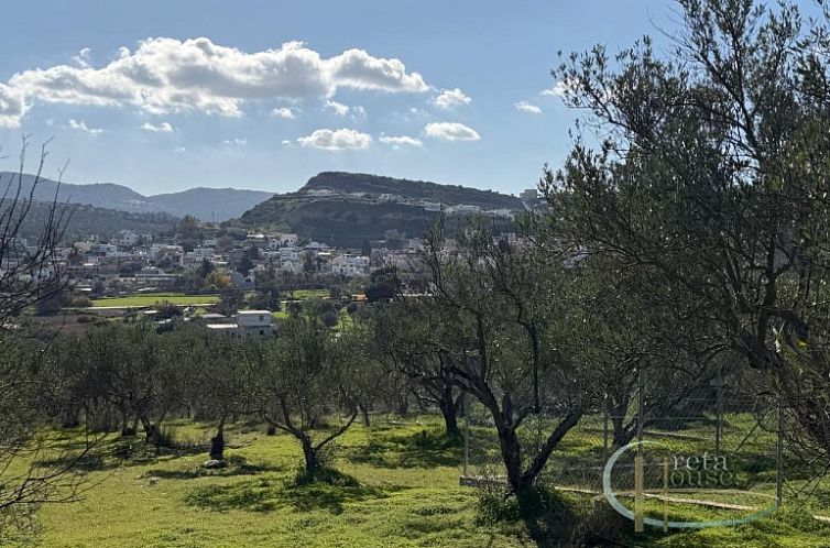 Kavel in Pitsidia