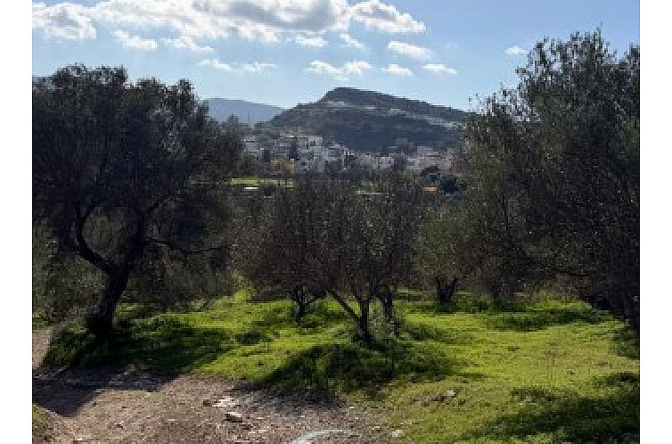 Kavel in Pitsidia