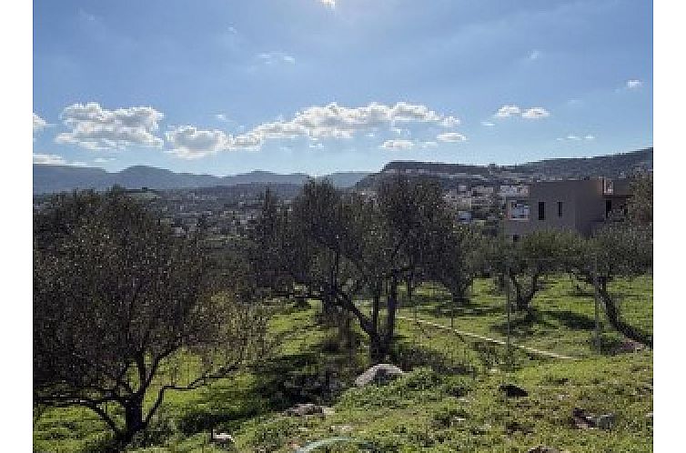 Kavel in Pitsidia