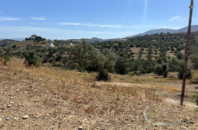 Kavel in Pitsidia