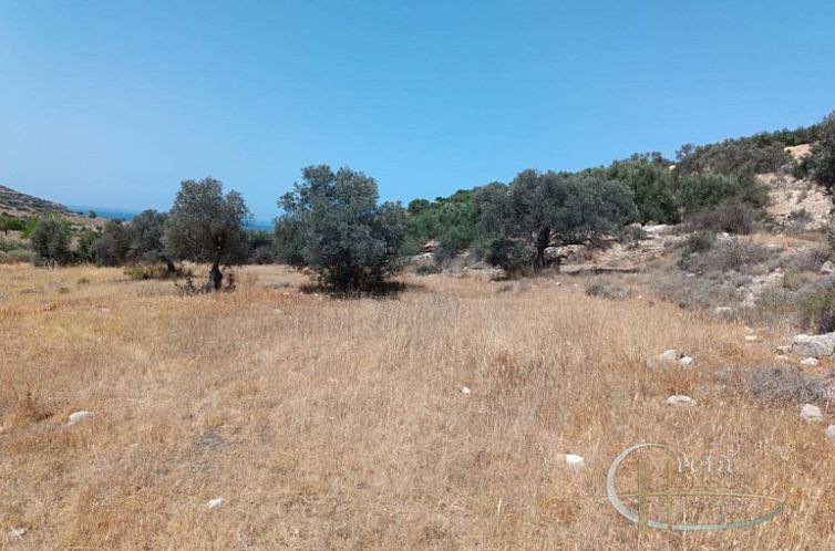 Kavel in Pitsidia