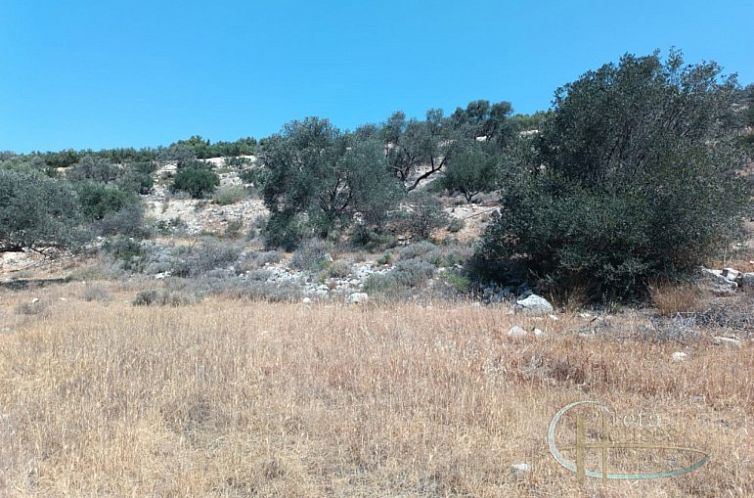 Kavel in Pitsidia