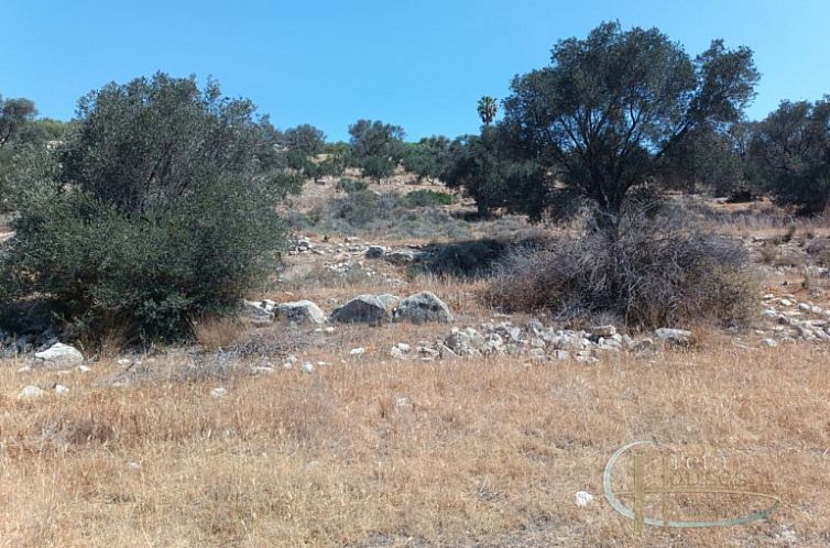 Kavel in Pitsidia