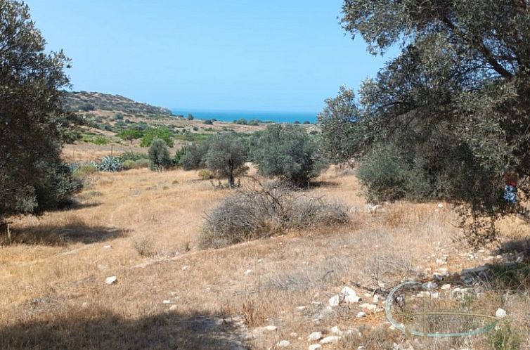 Kavel in Pitsidia