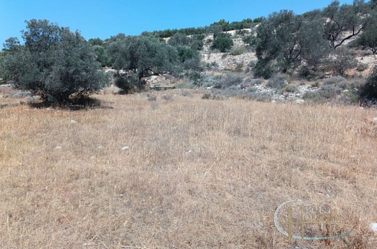 Kavel in Pitsidia