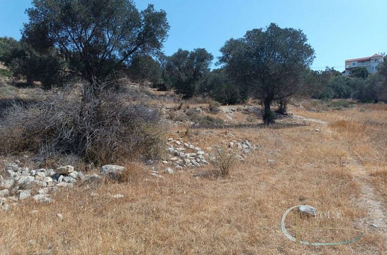Kavel in Pitsidia