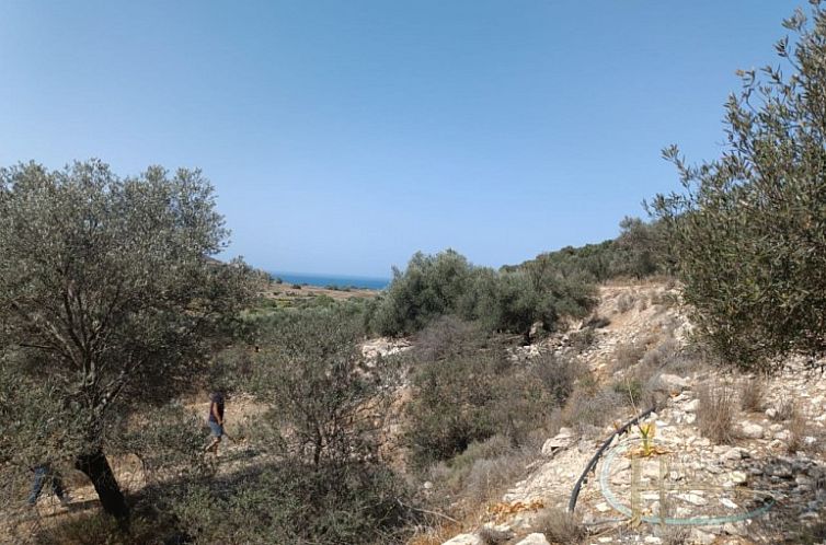 Kavel in Pitsidia