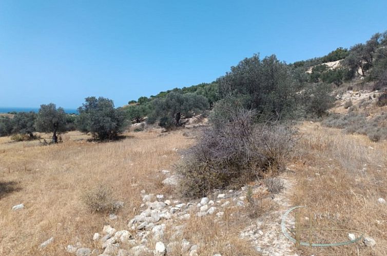 Kavel in Pitsidia