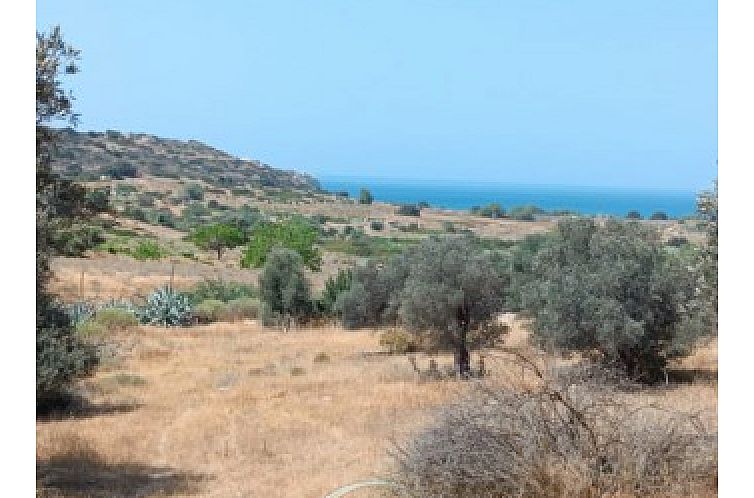 Kavel in Pitsidia