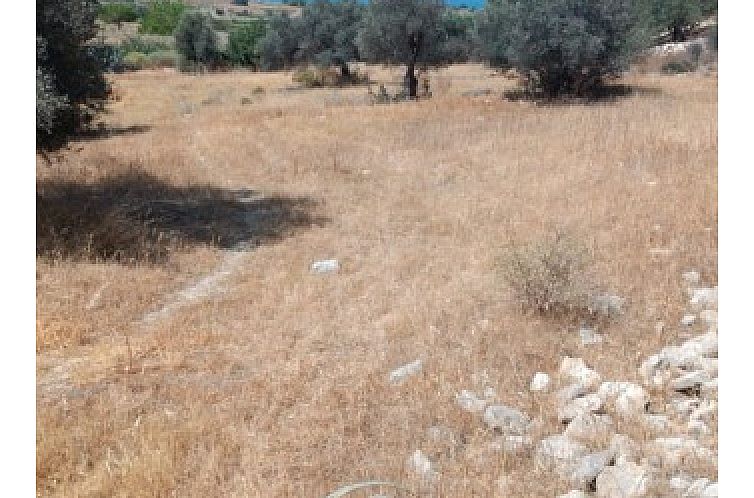 Kavel in Pitsidia