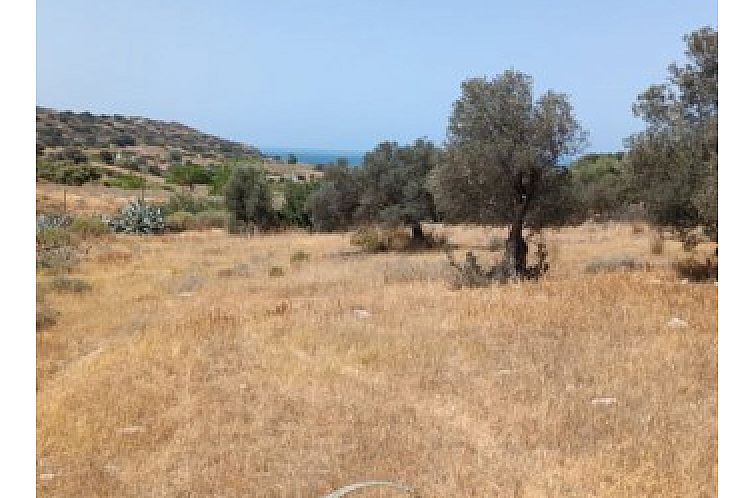 Kavel in Pitsidia