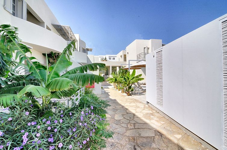 Appartement Elounda Garden Maxima Suite Beheiztes Schwimmbad