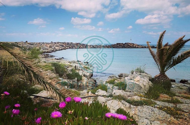 Unterkunft 06230010 - Ferienhaus Kreta - Geschakelde woning in Sisi