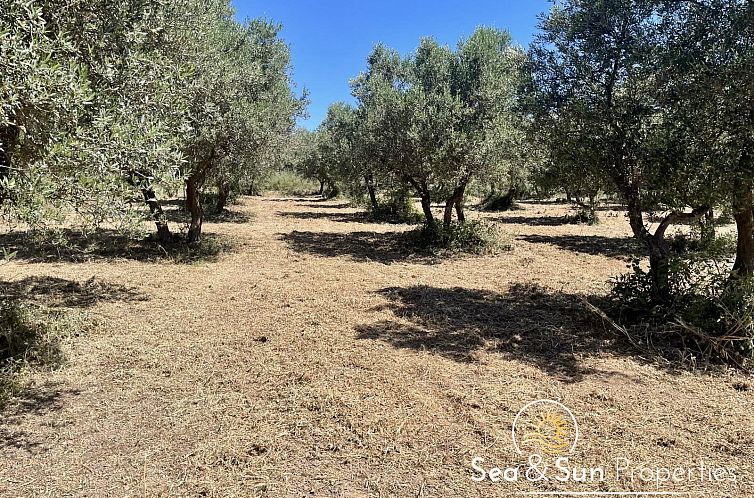 Guest house 06232709 - Holiday property Crete - Kavel in Vamos