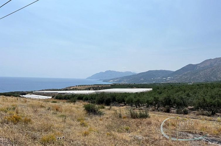 Kavel in Keratokampos