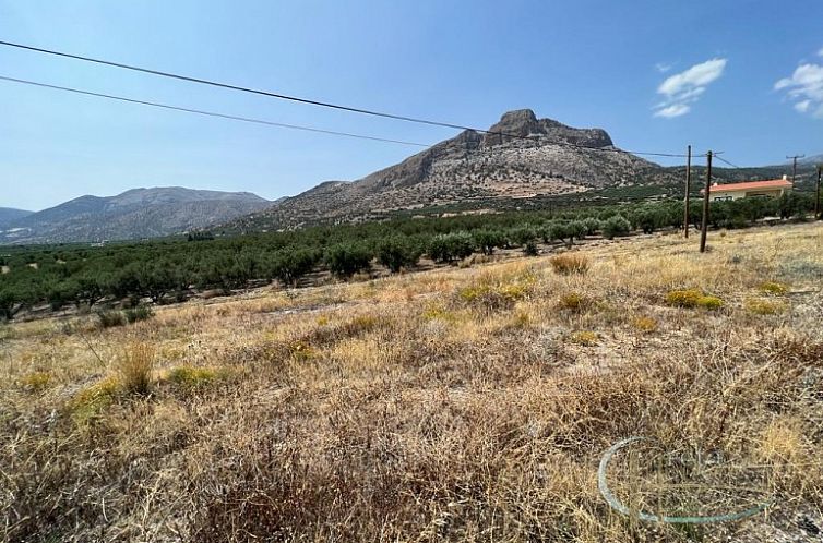 Kavel in Keratokampos