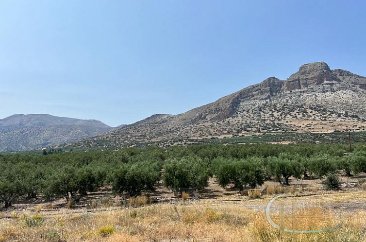 Kavel in Keratokampos