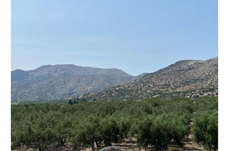 Kavel in Keratokampos