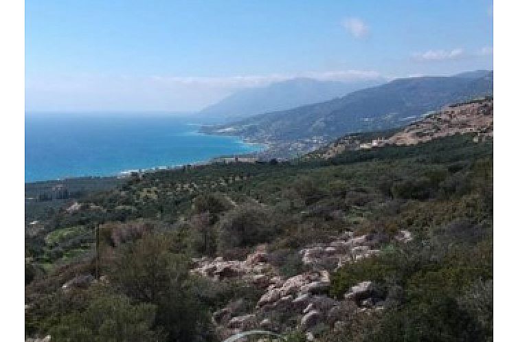 Kavel in Keratokampos