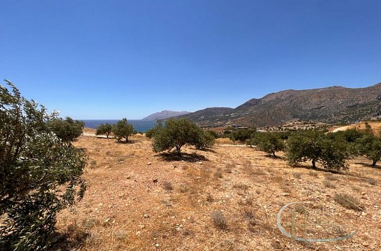 Kavel in Keratokampos