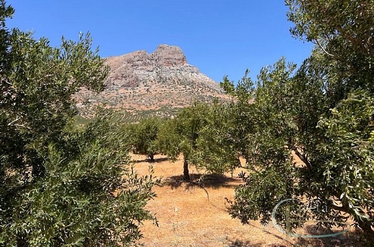 Kavel in Keratokampos
