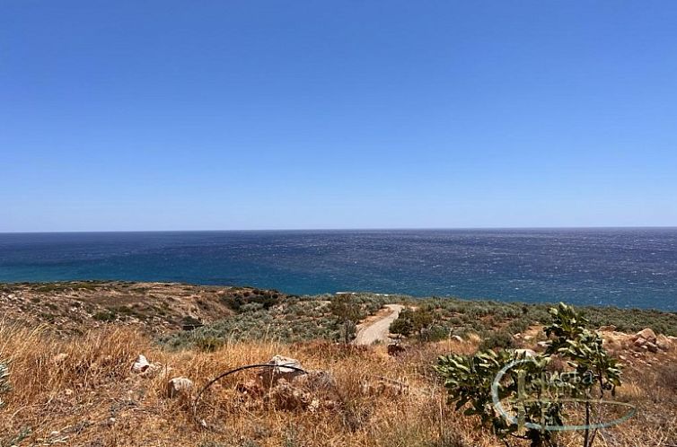 Kavel in Keratokampos