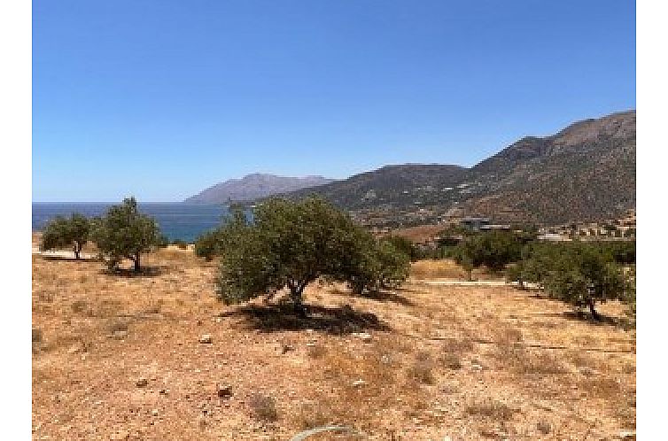 Kavel in Keratokampos