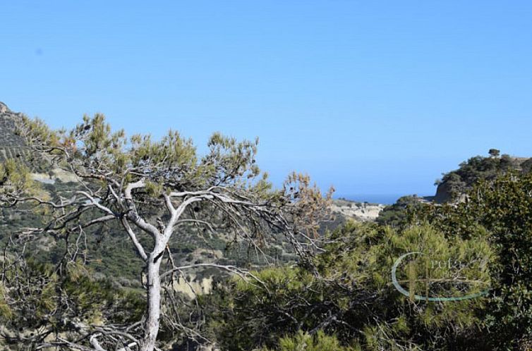 Kavel in Keratokampos