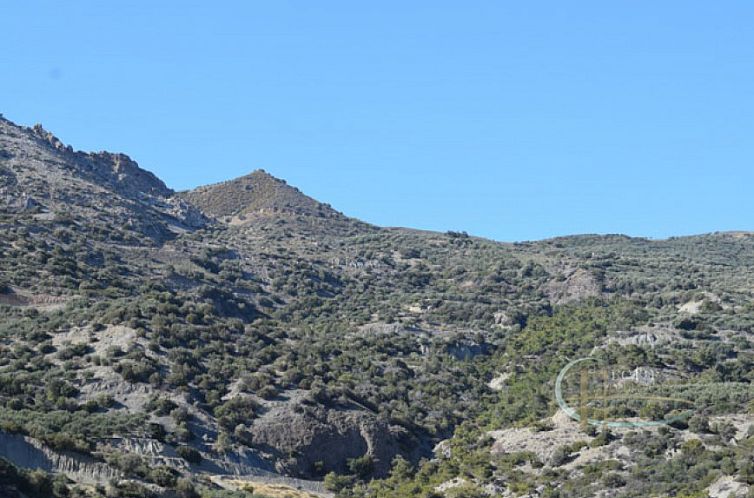 Kavel in Keratokampos