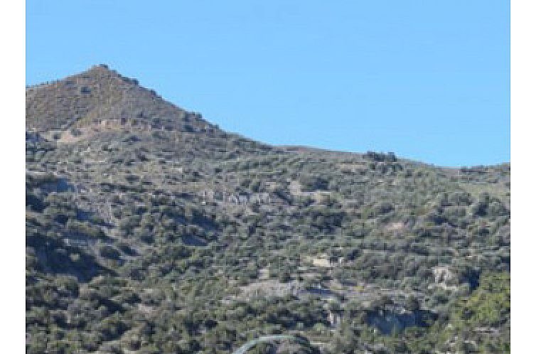 Kavel in Keratokampos