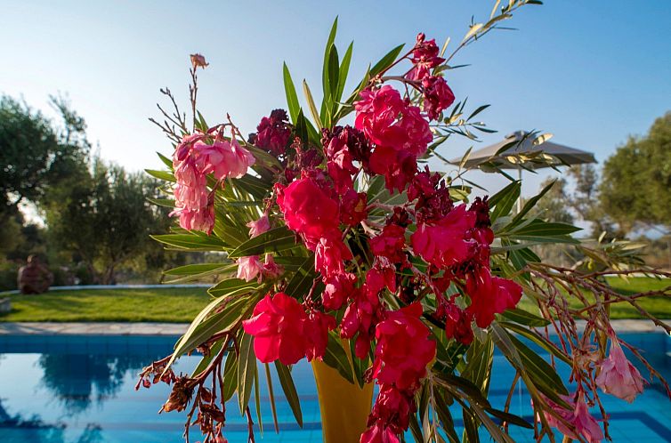 Vakantiehuis Villa Kyria Kreta
