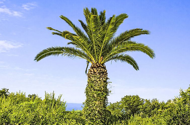 Vakantiehuis Erato