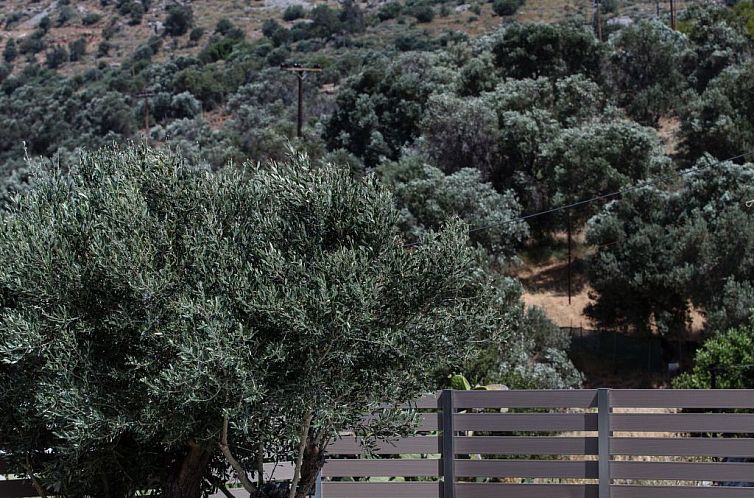 Vakantiehuis Berghütte "Kedros Villa" mit Bergblick