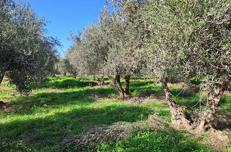 Unterkunft 0624186 - Ferienhaus Kreta - Kavel in Rethimno