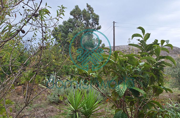 Geschakelde woning in Armenoi