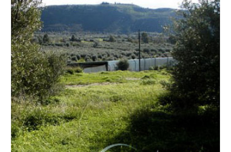 Kavel in Vori