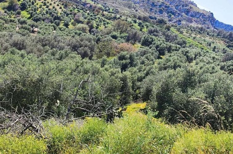 Kavel in Heraclion Cretes, Agia Triada
